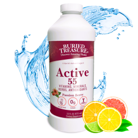 Active 55 Plus