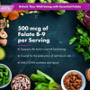 Folate (120 servings)
