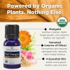 FORCES OF NATURE: Nail Fungus Treatment Extra Strength, 11 ml