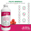 Fulvic Mineral Complex (60 servings)